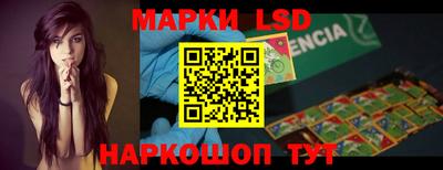 гидра Вязьма