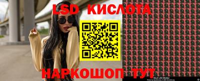 гидра Вязники