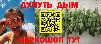 гидра Вязьма