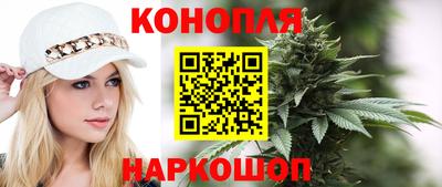 гидра Вязьма