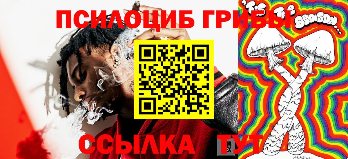 Галлюциногенные грибы Psilocybe Евпатория