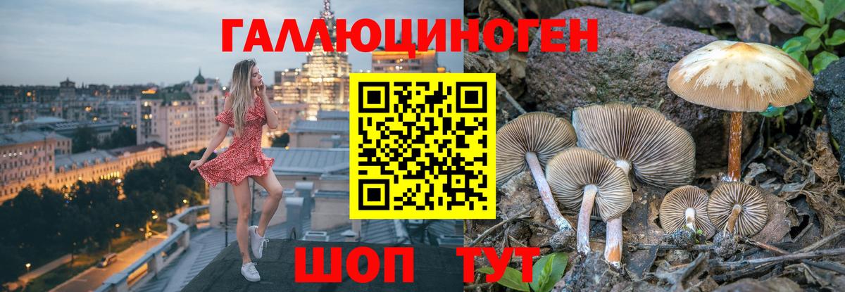 Псилоцибиновые грибы ЛСД  Галлюциногенные грибы MAGIC MUSHROOMS  Вход с VPN  Евпатория 